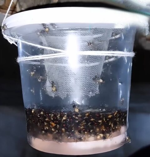 ساخت تله مگس