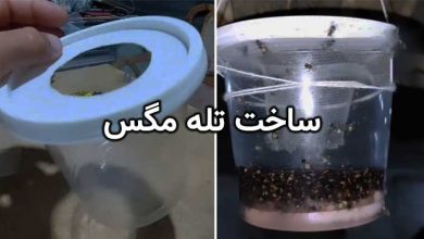آموزش ساخت تله مگس